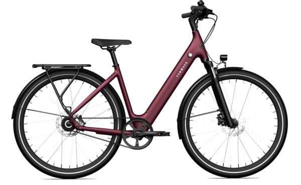 Tenways CGO800S, wild berry