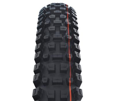 Schwalbe SCHWALBE FALTREIFEN ALBERT RADIAL Gravity Pro Soft 63-584 Schwarz Produktbild 1