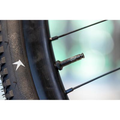 Schwalbe CLIK VALVE SV-SCV Conversion Kit (Valves only: 2xValve Core SCV, 1xKey, 2xDust C Produktbild 4
